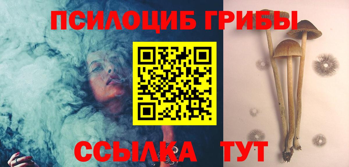 Псилоцибиновые грибы GOLDEN TEACHER Зима