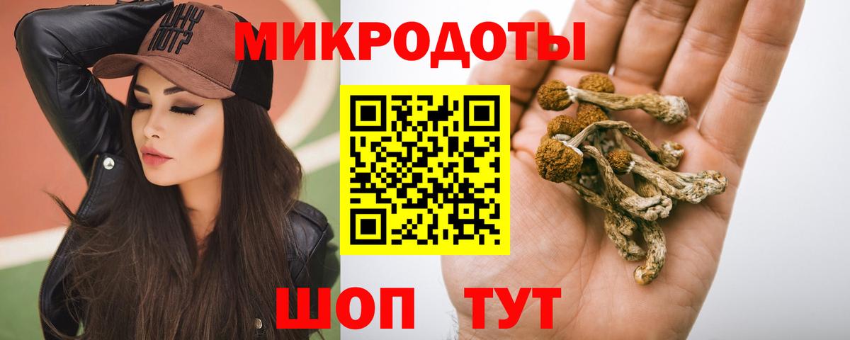 Галлюциногенные грибы GOLDEN TEACHER  Галлюциногенные грибы мицелий  Вход с VPN  Зима 
